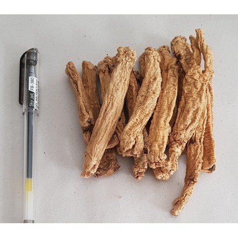 TongSim Dang Shen Tong Sim Radix Codonopsis DangShen memperkuat Stamina 100g