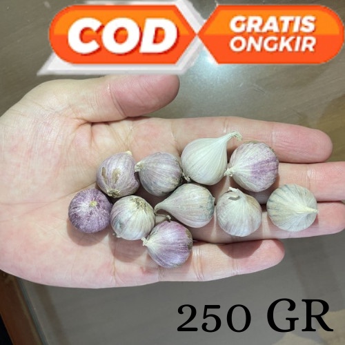 Bawang Putih Tunggal Lanang 250 Gram