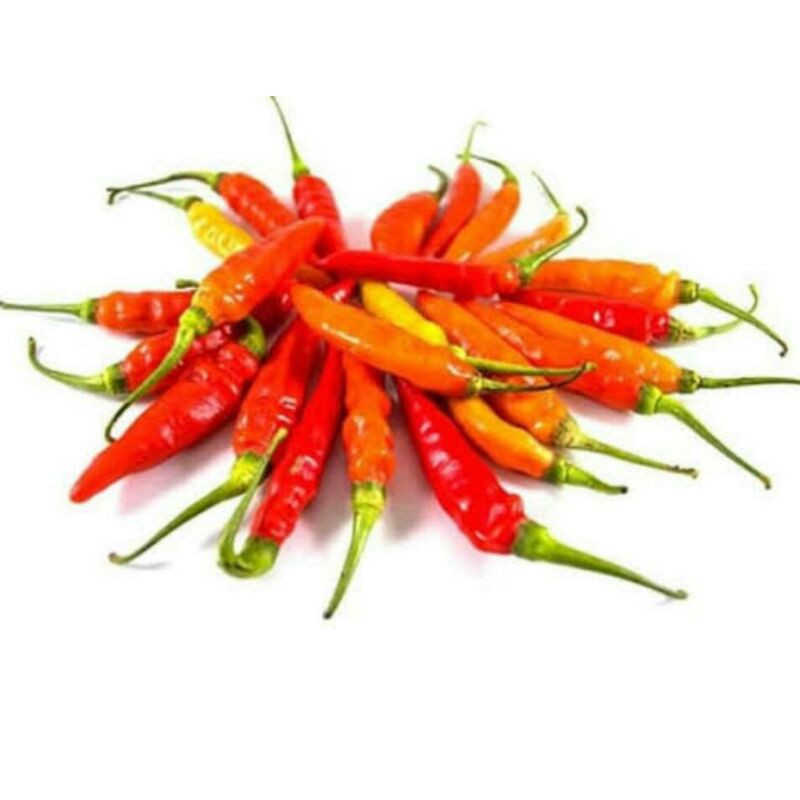 

cabai rawit merah segar 500 gram langsung dari petani