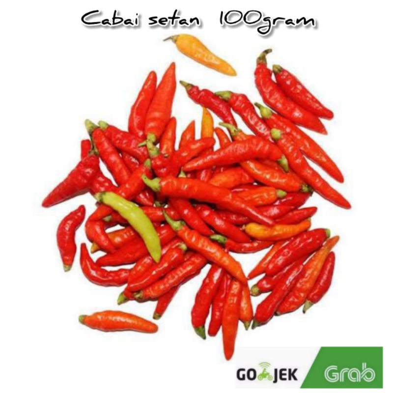 

cabai rawit setan 100 gram