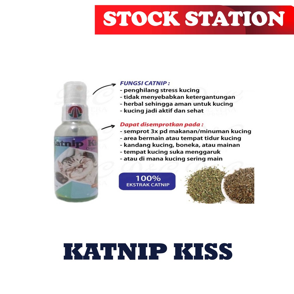 Spray Catnip Organik Herbal Aman Penghilang Stres Kucing Katnip Kiss