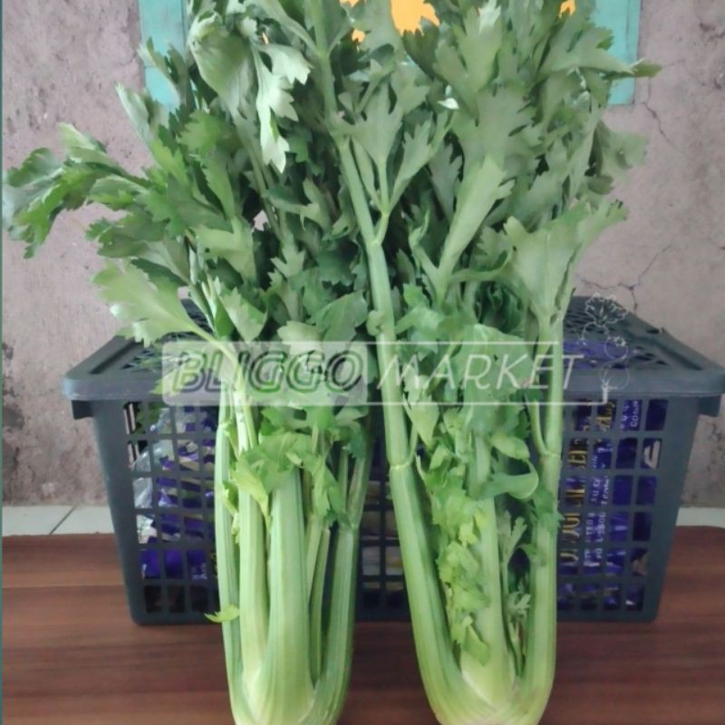 

Celery Stick Lokal/seledry stick/1000gr