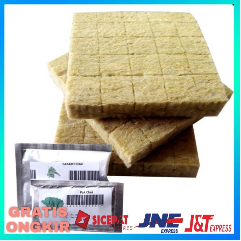 HIDROPONIK MEDIA TANAM BENIH PAKCOY BIBIT BENIH SAYURAN BIBIT SAYURAN BENIH TANAMAN BIBIT TANAMAN