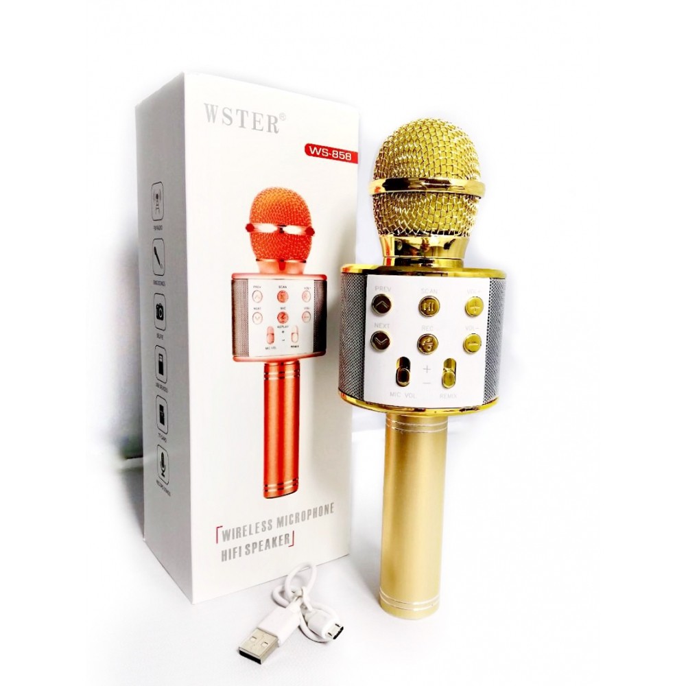 WIRELESS MICROPHONE BLUETOOTH HIFI SPEAKER [KAROKE]