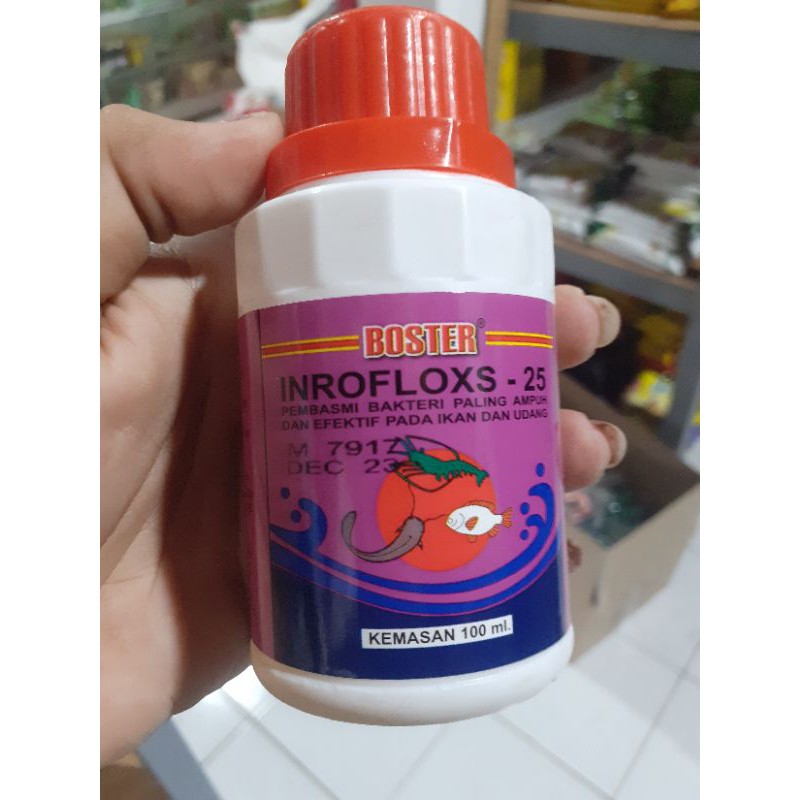 

inroflok25