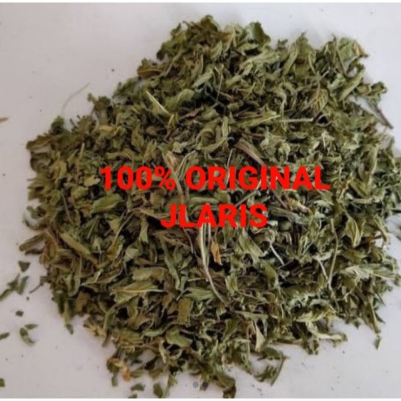 

Daun mint kering 50gram / Dried peppemint leaf preminum