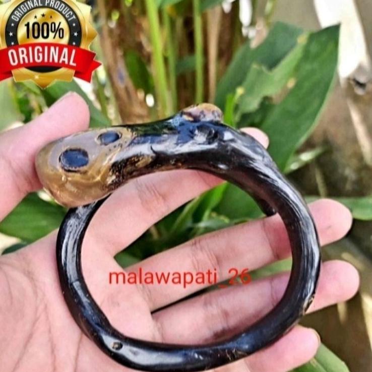 Big Sale.. GELANG AKAR BAHAR BONGGOL ASLI / GELANG AKAR BAHAR ASLI / GELANG KESEHATAN / GELANG TANGA