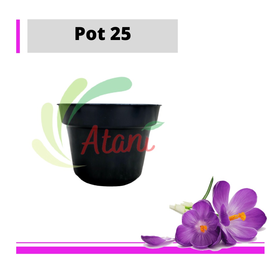 Pot Bunga 25 Hitam Pot Tanaman Pot 25 Cm Hitam Murah Grosir Termurah 12 15 17 20 25 30cm Pot Tanaman