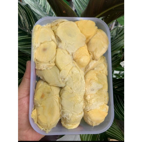 

Durian Kupas Medan