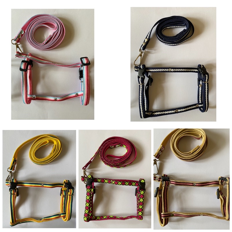 Tali Harness H Motif 1cm