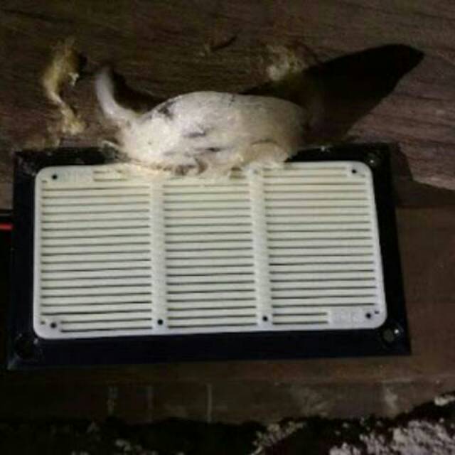 Tweeter Piro PR 88 PR88 Putih Speaker Walet PR 88