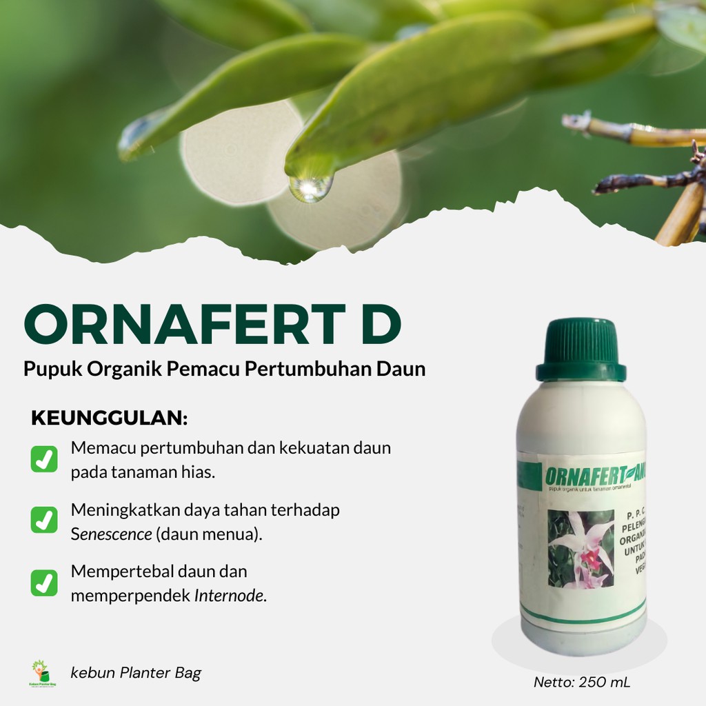 Pupuk Organik Cair Tanaman Hias Anggrek Aglonema Calathea