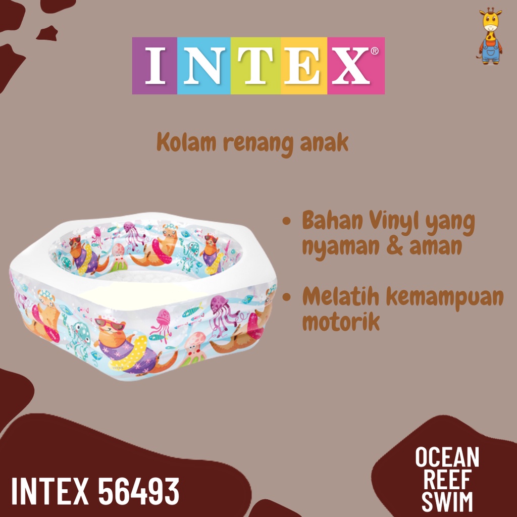 Intex 56493 Ocean Ref Swim - Kolam Renang