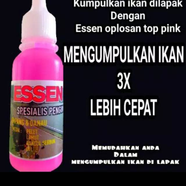 Essen pengumpul ikan jitu babon dan rame