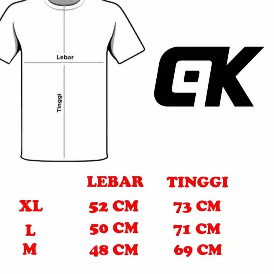 ✬ ( ) Stelan Jersey Kaos Futsall//Baju Volly Mizuno Printing Pria & Wanita Dewasa Size L ♬