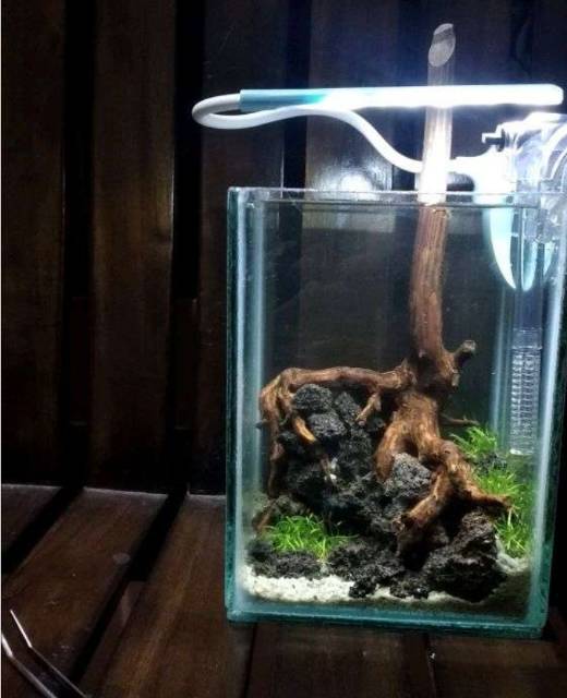 Aquarium kecil / Soliter Ikan Cupang / ikan hias kecil Lainnya 10x10x20