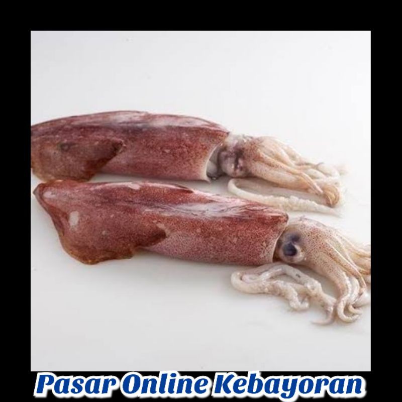 

Cumi Kondom Segar - 1 Kg ( JABODETABEK )