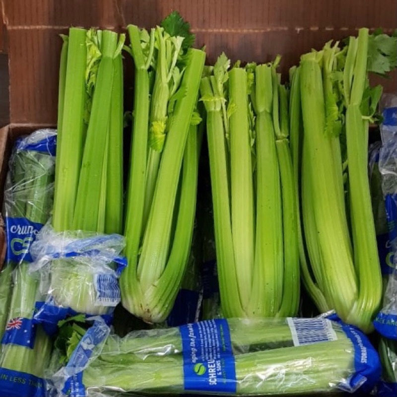 

Batang Seledri (Celery Stick) Segar Impor Australia 1 box isi 14 kg