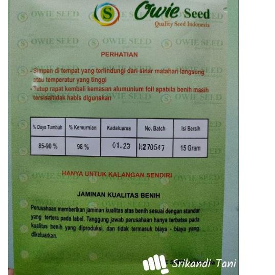 Sangat Nyaman.. Cabe Veloz 12.5gr Unggul Tahan Virus Cmk Velos Toleran Virus Kuning Buah Lebat