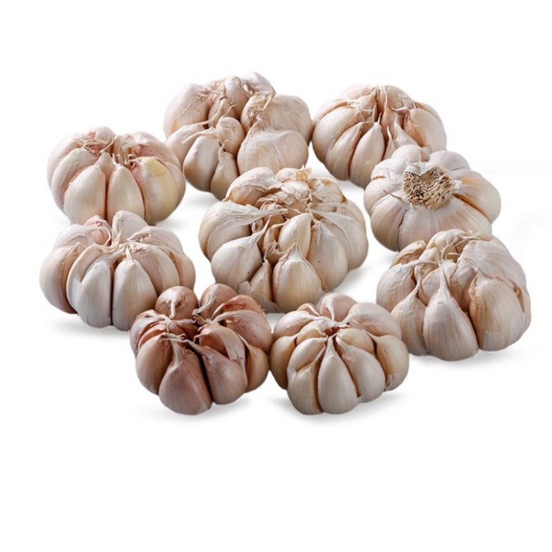 

bawang putih |250gr|500gr|1kg