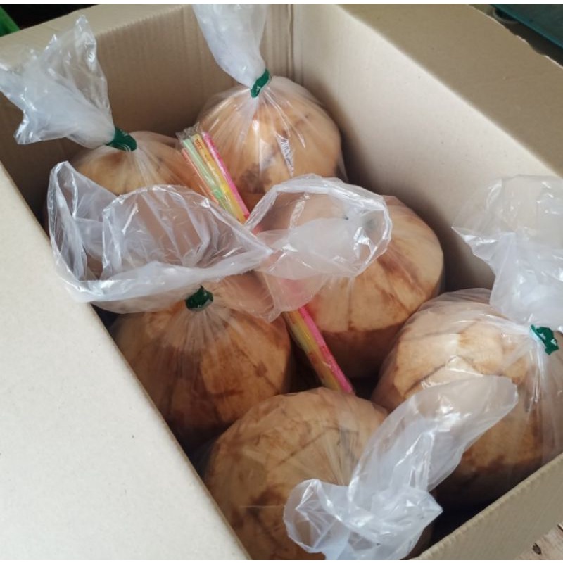 

Degan buah kelapa muda utuh 1 biji, segar fresh berkhasiat herbal