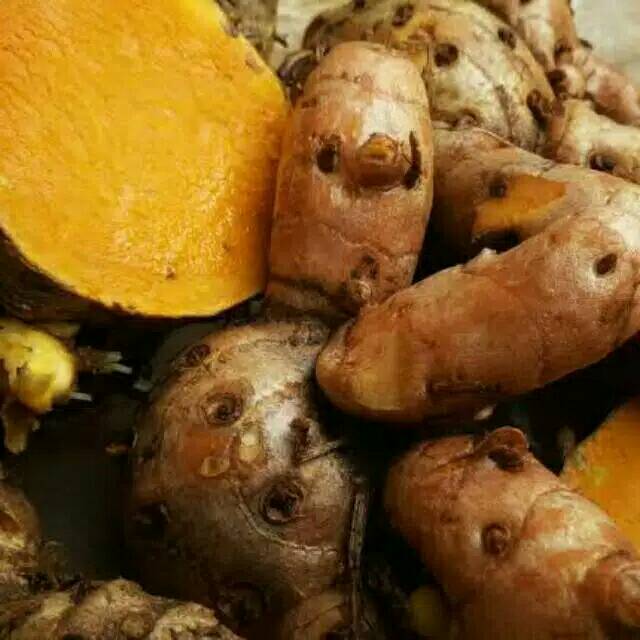

Temu lawak segar 1kg