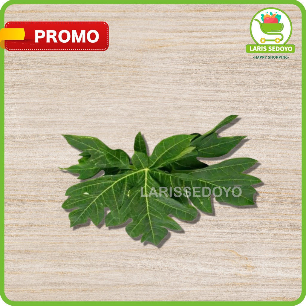 

Daun Pepaya 1 Ikat Sayur Sayuran Jakarta