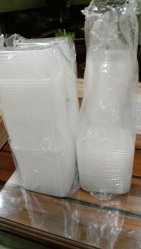 Thinwall Kotak 250ml 300ml 200ml Isi 25 Mika Plastik Dm Tempat Bumbu Wadah Cantik Tempat Slime