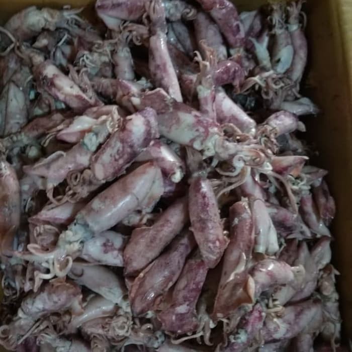 

Ikan Asin Cumi Sotong 250 gram SAYUR ONLINE BANDUNG