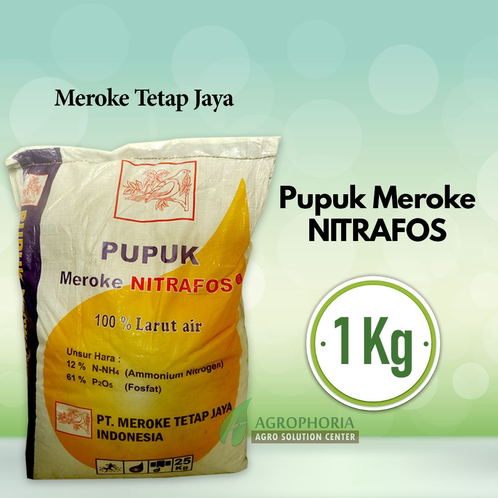 Pupuk Meroke Nitrafos (MAP)
