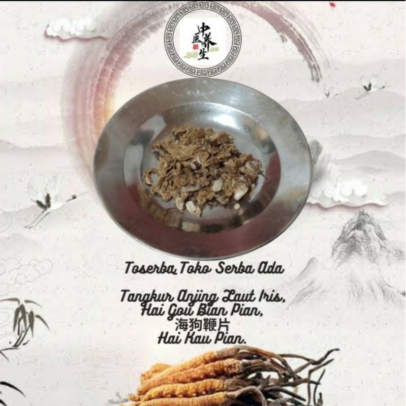 

3gr Potongan Tangkur Anjing Laut Hai Gou Bian Pian 海狗鞭