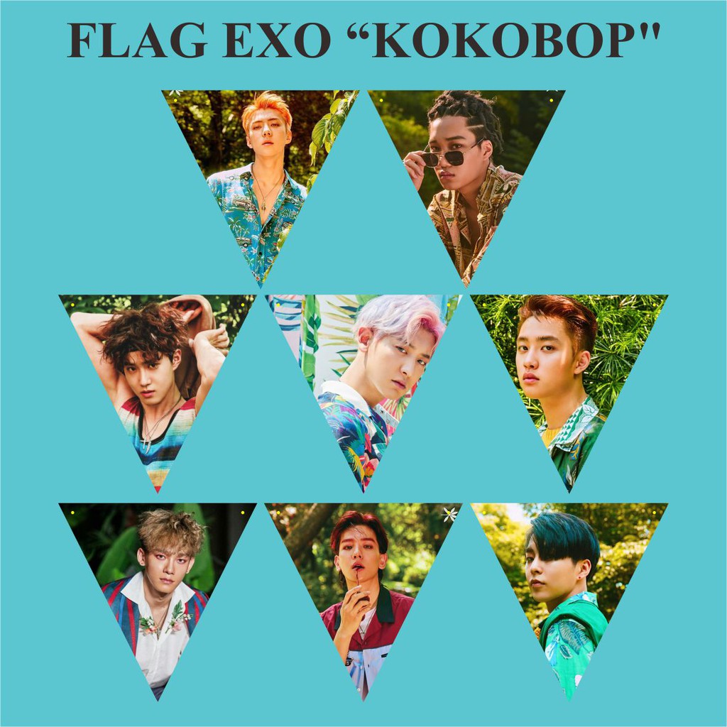 BUNTING FLAG EXO KOKOBOP Plus Tali Kpop Murah