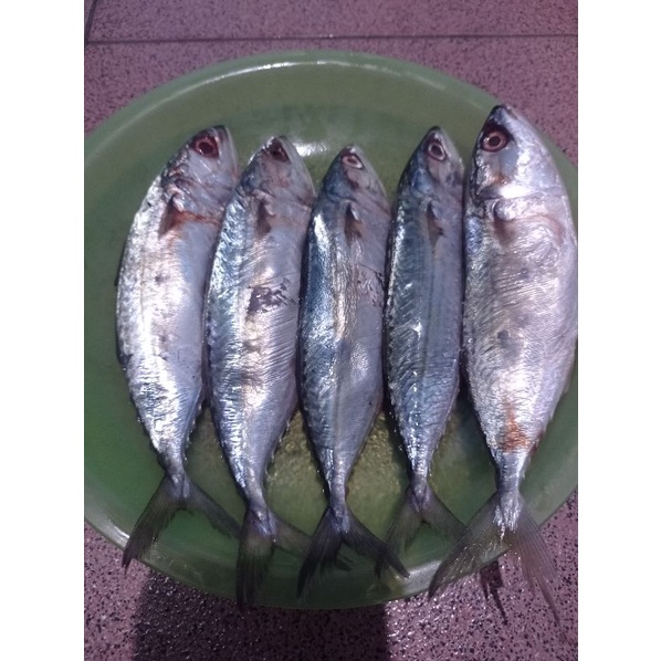

Ikan Kembung Fresh