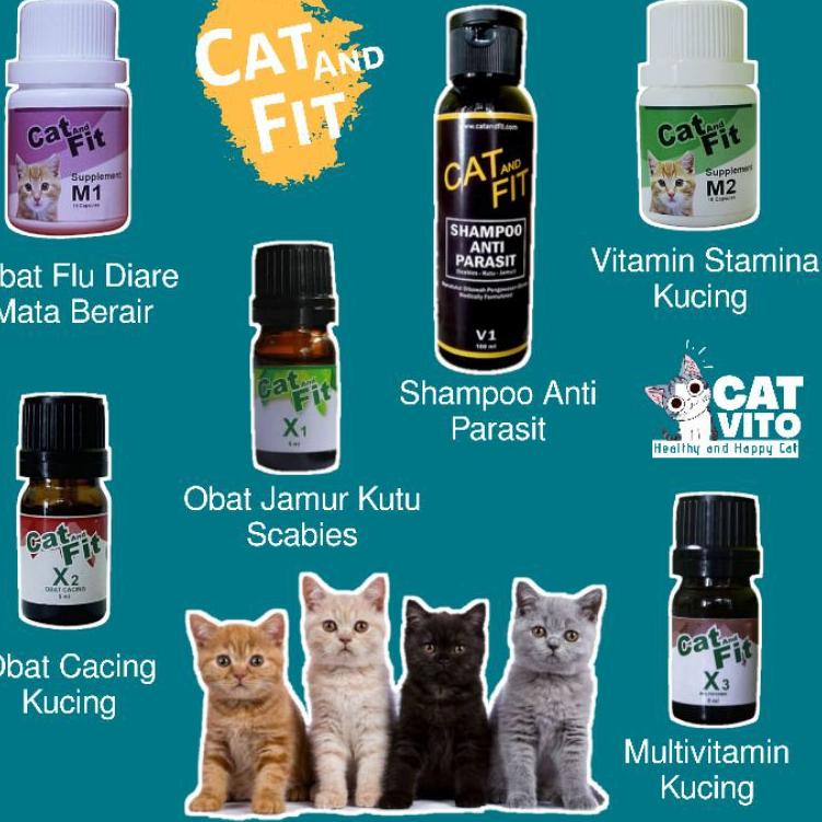 Harga CAT FIT X3 Terbaru November 2021  BigGo Indonesia