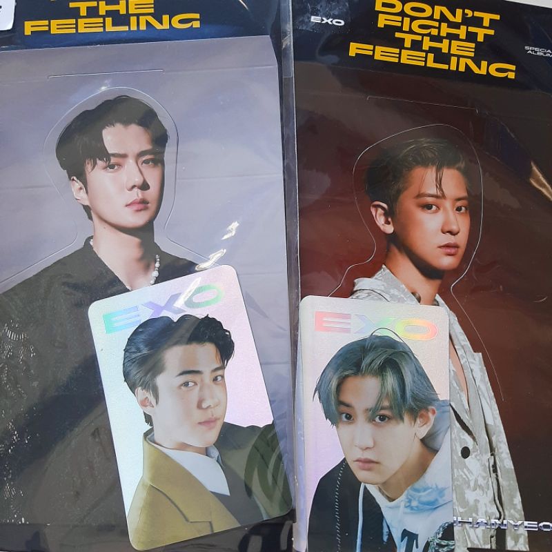 Holo Standee EXO DFTF