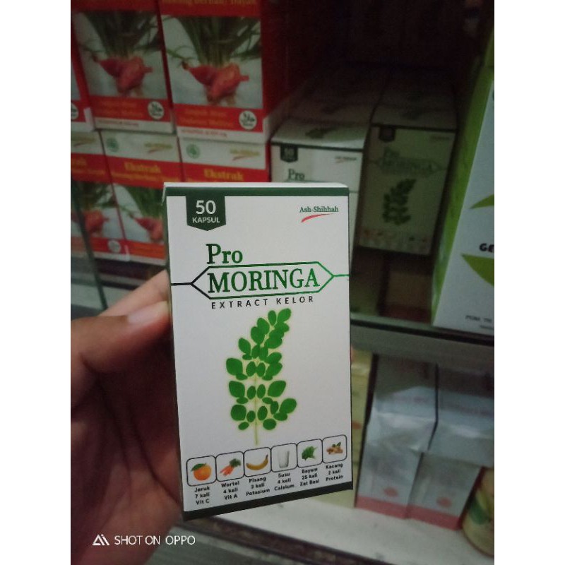 Pro Moringa Ekstrak Daun Kelor Kapsul Daun Kelor