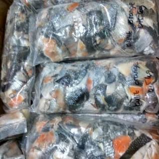 

Kulit Ikan Salmon Mentah / Salmon Skin Frozen 500g