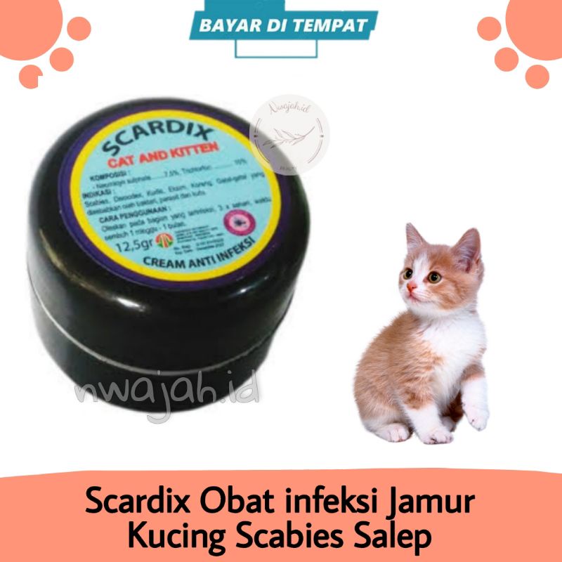 Obat infeksi Jamur Kucing Scabies Salep Koreng Anak Kucing scardix Cream