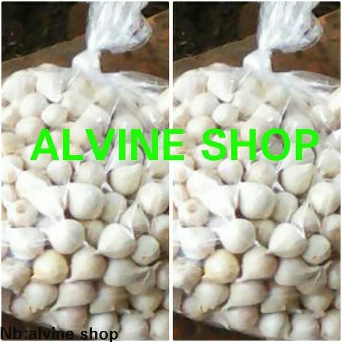 

BAWANG PUTIH TUNGGAL/BAWANG LANANG