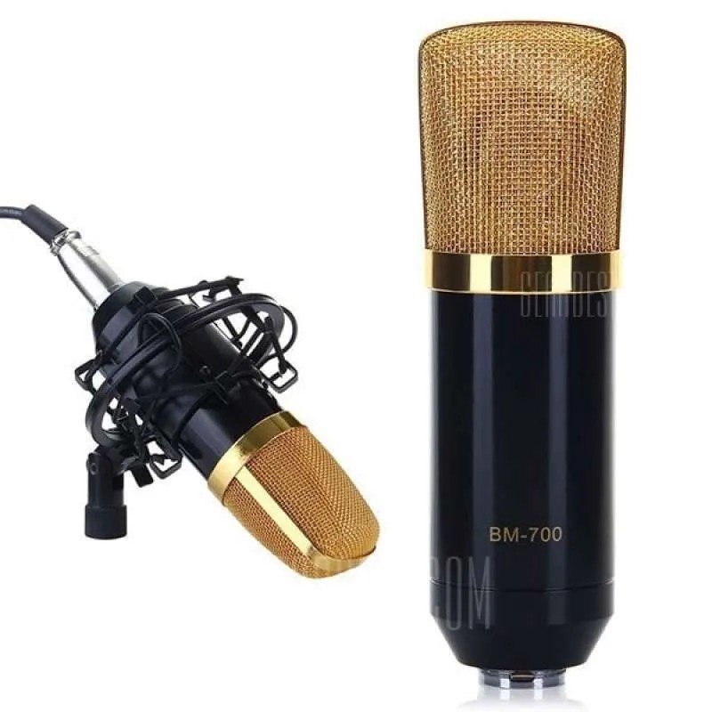 Microphone Mikrofon Kondenser BM-700 Studio dengan Shock Proof Mount