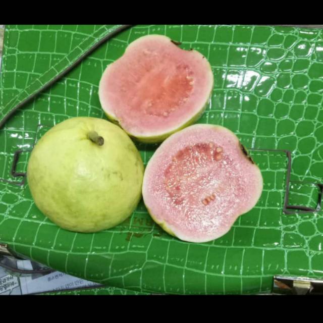 

Jambu merah biji