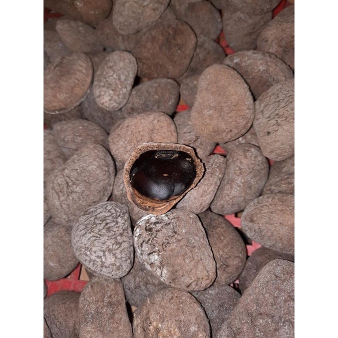 

PROMO Kluwek/Rawon 1kg MURAH