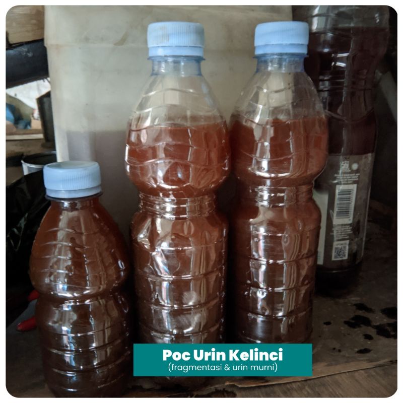 POC urin kelinci Framentasi (urin kelinci murni)