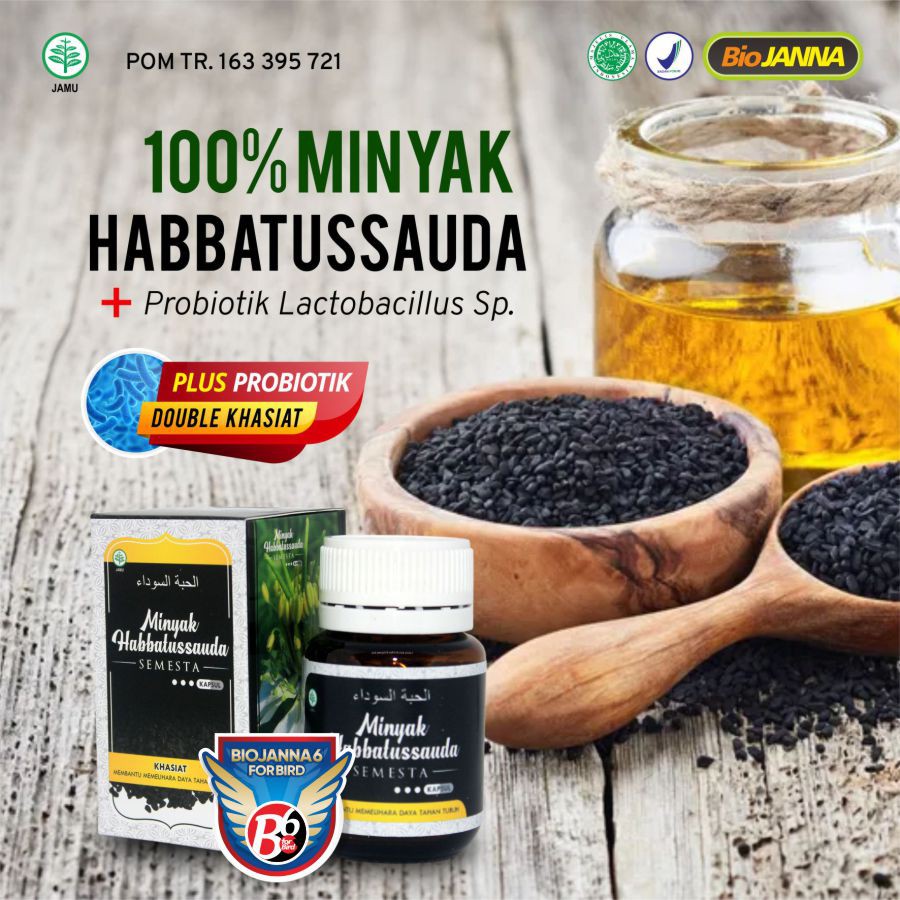 HABBATUSSAUDA KAPSUL | KAPSUL HABBATUSSAUDA | PLUS PROBIOTIK