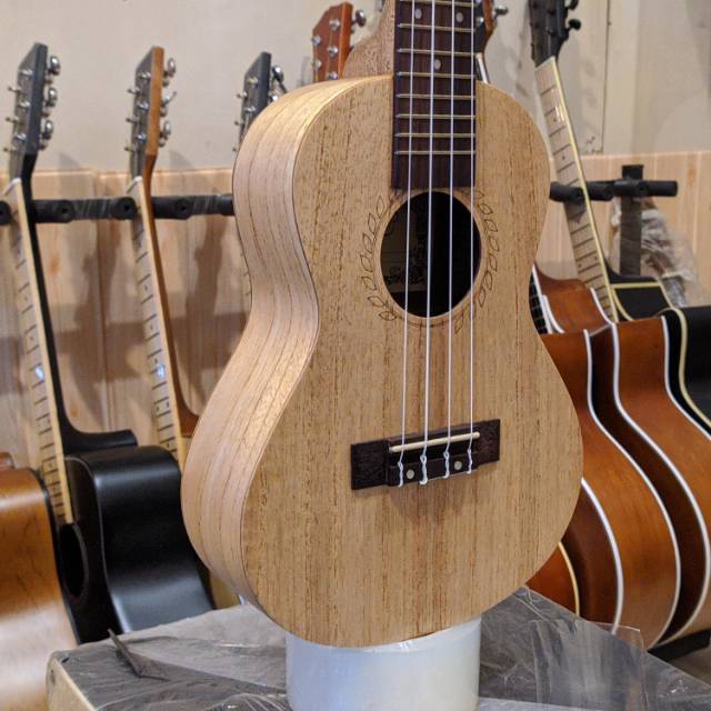 Ukulele Concerto Grande DS NS
