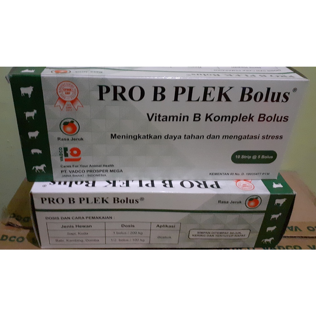 Jual PRO B PLEK BOLUS RASA JERUK - Vitamin B Kompleks Hewan B Komplek ...