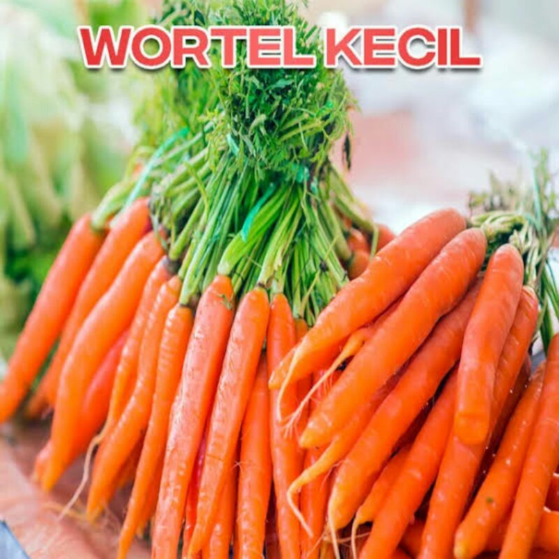 

wortel kecil-sayuran segar 1 kg