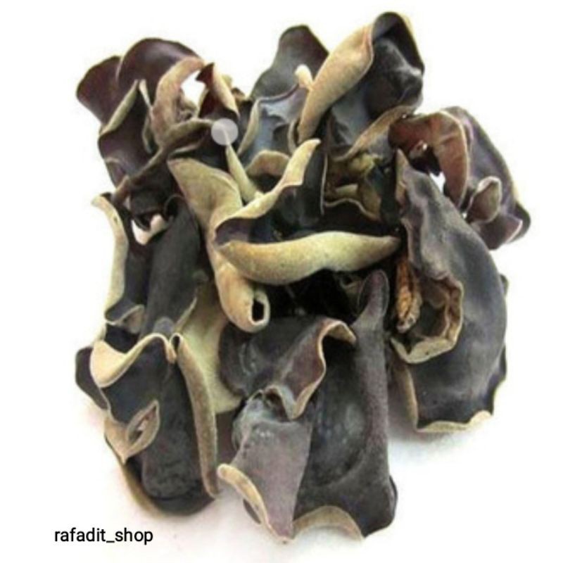 

Jamur Kuping Kering Netto. 500Gram