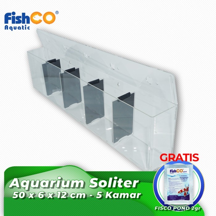 AQUARIUM CUPANG ACRYLIC - SOLITER IKAN CUPANG 5 KAMAR 45x6x12
