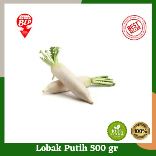 

Lobak Daikon / Lobak Putih Segar 500 gr Berkah Lumbung Pangan